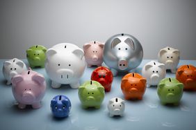 Piggy banks of various colors and sizes