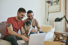 Smiling couple with pug using laptop at home