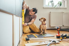 Man doing home improvements while dog watches