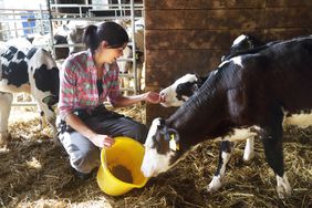 Woman on a farm feeding calves