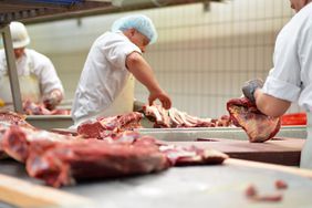 Workplace food industry - factory butchery for the production of sausages 