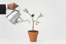 Businessman watering potted money tree
