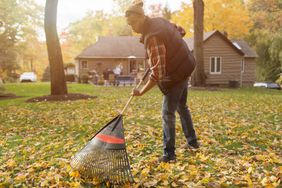 A person rakes leaves in their yard. 