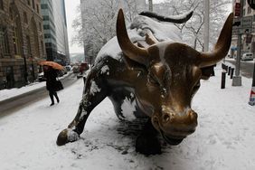 bull statue in the city