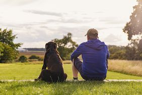 A man and his dog sit in the park and take in the view