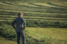 A farmer stands in a field.
