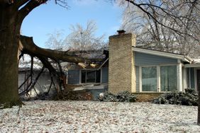 A large tree limb has fallen through the roof of a formerly neat and tidy home.